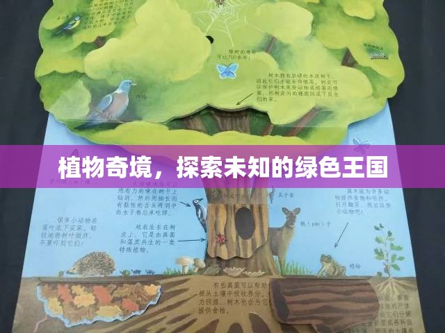 探索未知的綠色王國(guó)，植物奇境的奧秘之旅