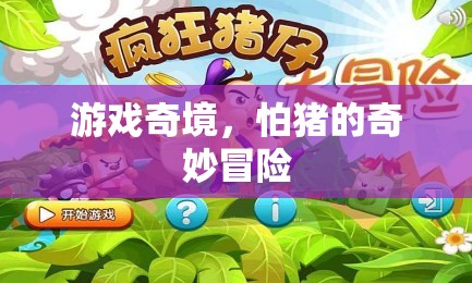 豬的奇妙冒險，游戲奇境的未知挑戰(zhàn)