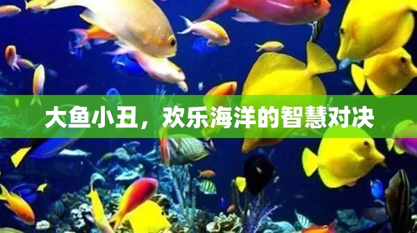 大魚小丑，智慧與歡樂的海洋對決  第2張