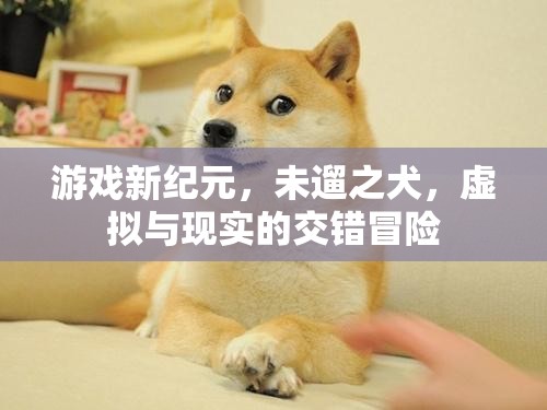 未遛之犬，游戲新紀元中的虛擬與現實交錯冒險