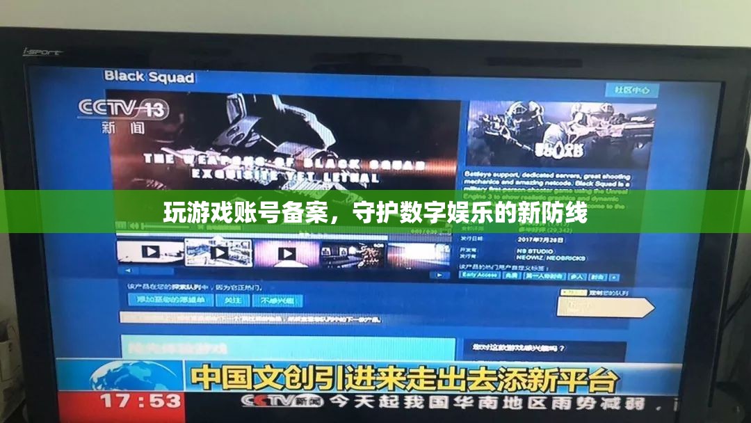 游戲賬號備案，守護(hù)數(shù)字娛樂的新防線