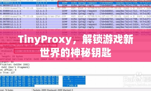 TinyProxy，解鎖游戲新世界的關(guān)鍵工具