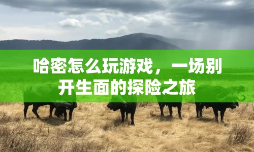 哈密，開啟一場(chǎng)別開生面的游戲探險(xiǎn)之旅  第1張