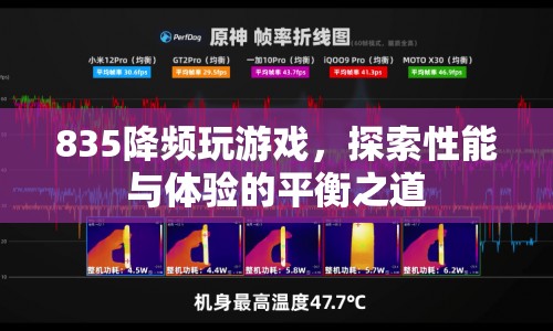 835降頻玩游戲，探索性能與體驗的平衡之道  第1張