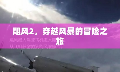 颶風(fēng)2，穿越風(fēng)暴的冒險(xiǎn)之旅  第1張