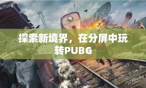 在分屏中玩轉(zhuǎn)PUBG，探索新境界  第1張