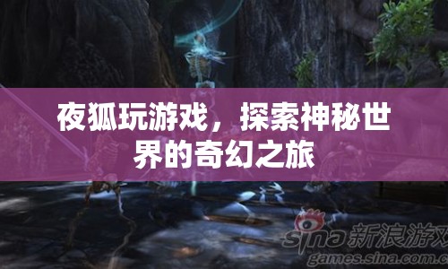 夜狐探索神秘世界的奇幻之旅  第1張