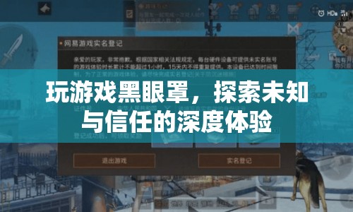 黑眼罩下的信任之旅，深度探索未知與信任的游戲體驗(yàn)  第1張