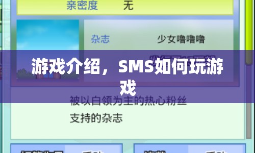 SMS游戲玩法指南  第1張