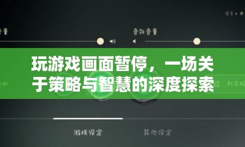 一場(chǎng)策略與智慧的深度探索，游戲畫面暫停