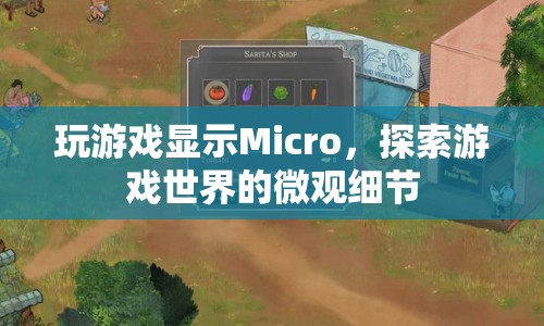 探索游戲世界的微觀細(xì)節(jié)，Micro展現(xiàn)游戲魅力