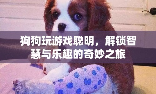 狗狗解鎖智慧與樂趣，奇妙游戲之旅