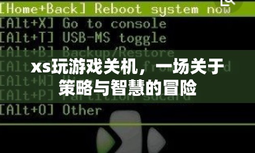 一場(chǎng)策略與智慧的冒險(xiǎn)，XS游戲關(guān)機(jī)之旅