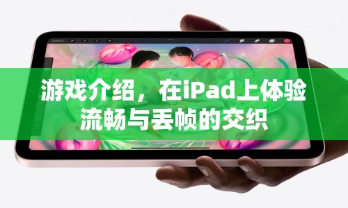 iPad游戲，流暢與丟幀的交織體驗(yàn)  第1張