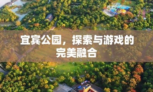 宜賓公園，探索與游戲的完美融合之地