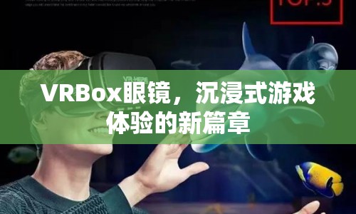 VRBox眼鏡，開(kāi)啟沉浸式游戲體驗(yàn)新篇章