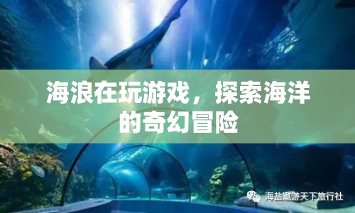 探索海洋的奇幻冒險，海浪的奇妙游戲