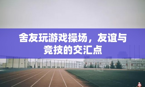 操場(chǎng)上的游戲，友誼與競(jìng)技的交匯點(diǎn)