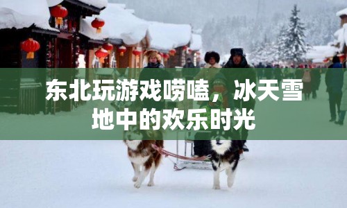 冰天雪地中的歡樂時(shí)光，東北玩游戲嘮嗑