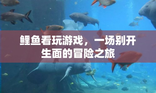 鯉魚(yú)看玩游戲，一場(chǎng)別開(kāi)生面的冒險(xiǎn)之旅