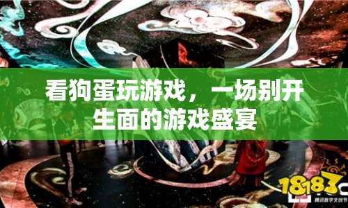 狗蛋游戲盛宴，精彩紛呈的娛樂盛宴