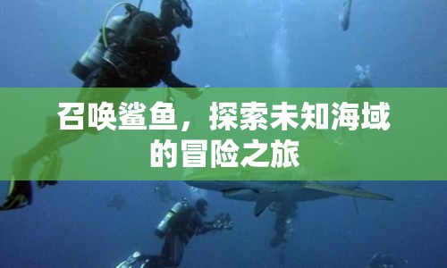 探索未知海域，召喚鯊魚，開啟驚險(xiǎn)冒險(xiǎn)之旅