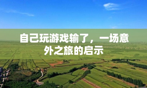 一場意外之旅的啟示，游戲輸?shù)舻牟粌H是勝負(fù)