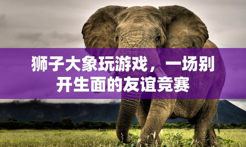 獅子大象友誼競賽，一場別開生面的游戲盛宴