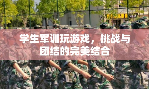 軍訓(xùn)游戲，挑戰(zhàn)與團結(jié)的碰撞