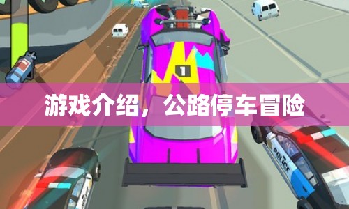 公路停車冒險(xiǎn)，驚險(xiǎn)刺激的駕駛挑戰(zhàn)