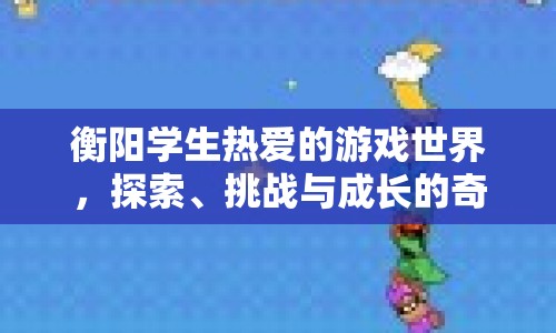 衡陽學(xué)生游戲世界，探索、挑戰(zhàn)與成長的奇妙之旅