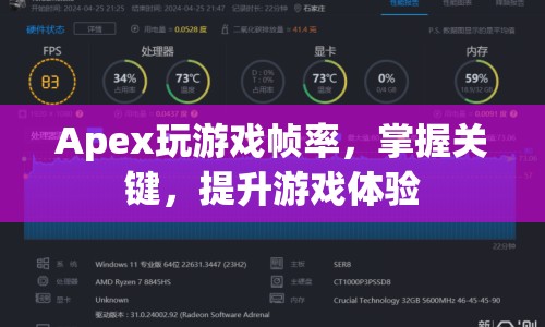 掌握Apex關(guān)鍵，提升游戲幀率體驗(yàn)