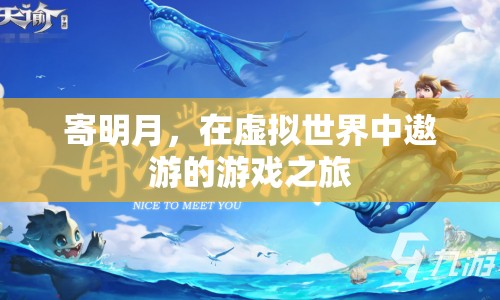 寄明月虛擬世界游戲之旅  第1張