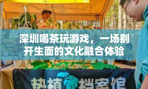 深圳，喝茶玩游戲，文化融合新體驗(yàn)