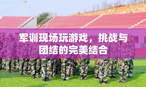 軍訓(xùn)游戲，挑戰(zhàn)與團結(jié)的完美碰撞