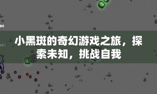 小黑斑的奇幻冒險，探索未知，挑戰(zhàn)自我