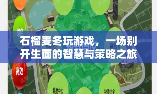 石榴麥冬攜手共赴智慧策略之旅