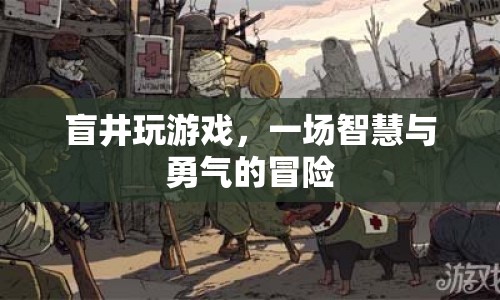 盲井游戲，智慧與勇氣的終極冒險(xiǎn)  第1張