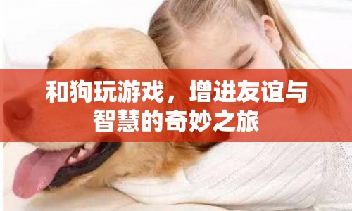 與狗共舞，增進(jìn)友誼與智慧的奇妙之旅