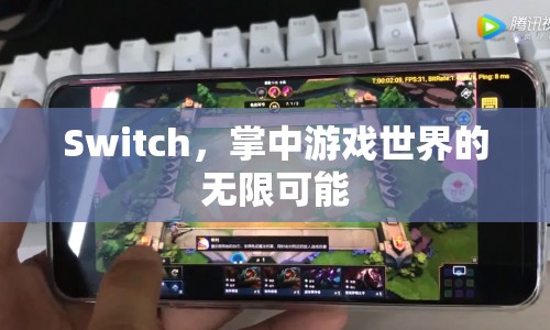 Switch，掌中游戲世界的無限可能