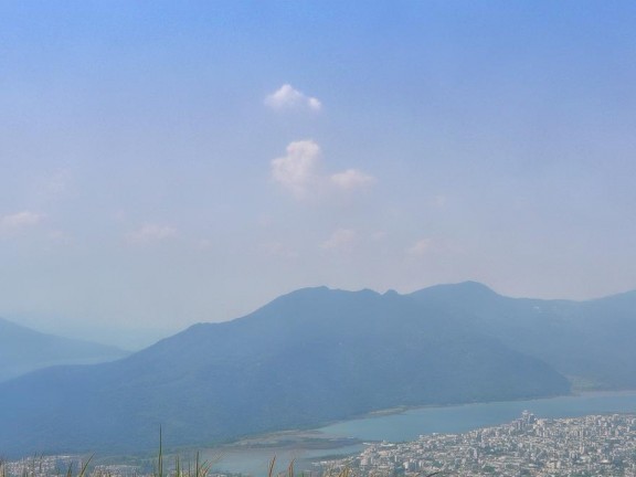 凝礦蘭種植藝術(shù)，打造我的世界中的獨特景觀