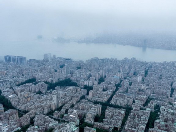 我的世界無攻擊力怪物，和諧共存的冒險(xiǎn)之旅